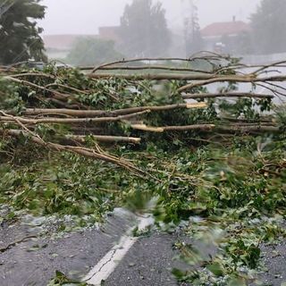 Maltempo, Coldiretti: &quot;La Regione definisca le procedure per ripristinare i terreni alluvionati&quot;