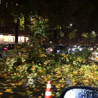 Maltempo: a Torino alberi caduti, trombe d'aria e allagamenti. Un ferito a Lanzo