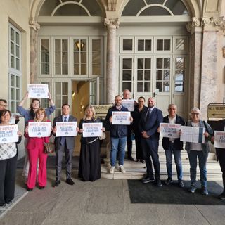 manifestazione contro ospedale alla pellerina