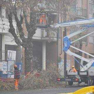 protesta contro il taglio degli alberi in corso Belgio