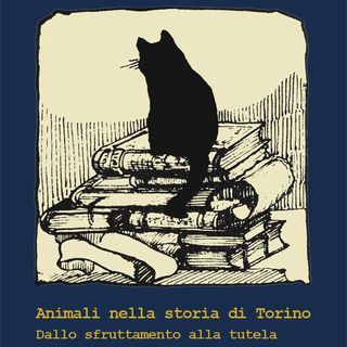 Archivio storico, apertura straordinaria sabato 14 settembre con un concerto di Mito