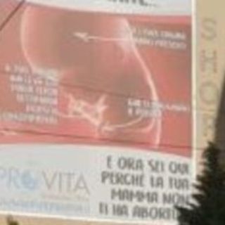 Manifesti sull'aborto a Chivasso, Federvi P.A. precisa: &quot;Gli autori di quell'azione non appartengono alla nostra associazione&quot;