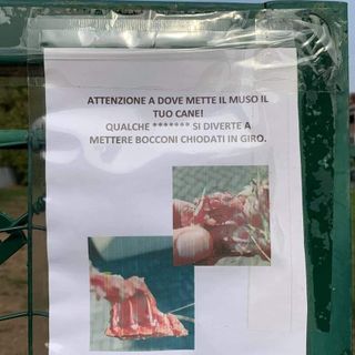 cartello nichelino