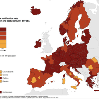 Europa, la mappa del contagio. Il Piemonte passa ad arancione