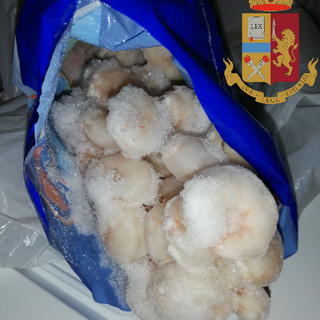 Blitz in locali e market di San Salvario: sequestrati oltre 115 chili di cibo mal conservato