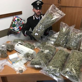 Il &quot;Murdoch&quot; della marijuana fermato con quasi 3 chili e mezzo di droga
