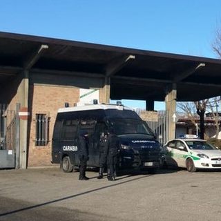 Orrori al mattatoio di Torino, Frediani–Giacosa (M5S): “Auspichiamo che i responsabili paghino”