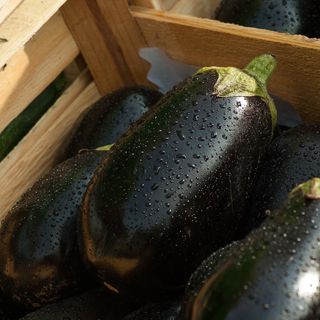 Melanzane: proprietà e ricette semplici da preparare
