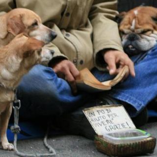 L'accattonaggio è un problema? Si, ma solo se è molesto