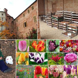 Con Messer Tulipano il parco del Castello di Pralormo si tinge di rosa