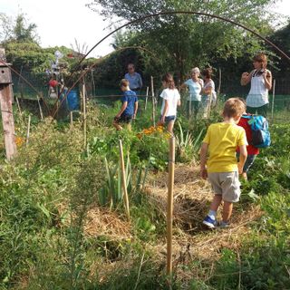 Dove i Savoia guardavano i fiori e ora sorgono orti urbani: Mirafiori agricola ieri e oggi [FOTO]