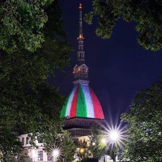 mole tricolore