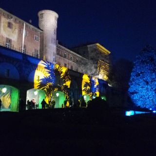 giardino delle rose natale controluce
