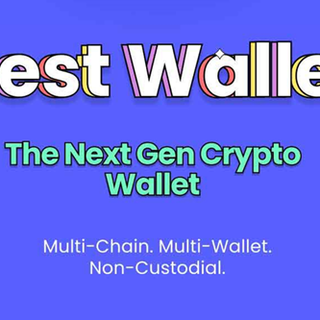 Smetti di perdere criptovalute: questo wallet Bitcoin proteggerà i tuoi investimenti in crypto
