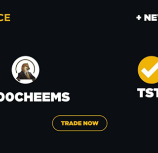 Quali sono le migliori meme coin da acquistare su Binance Smart Chain oggi. Test e Cheems?