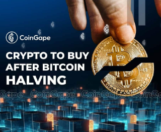 Le 4 migliori criptovalute da comprare dopo l’halving di Bitcoin