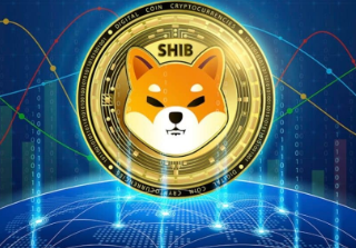 Grandi movimenti in casa Shiba Inu, il prezzo è destinato a salire? Ecco la migliore alternativa