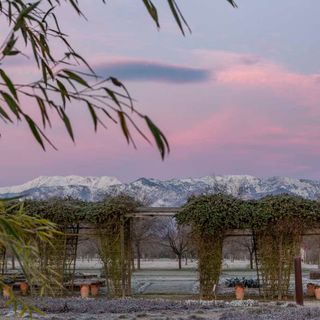 Alla Reggia di Venaria, l'ultimo appuntamento "green" con il paesaggista Fernando Caruncho