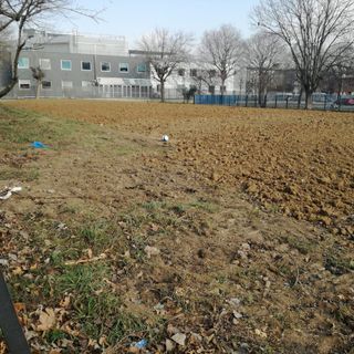 All'ex Cad di via Pio VII, ultimi lavori di riqualifica in attesa di sapere a cosa sarà destinato