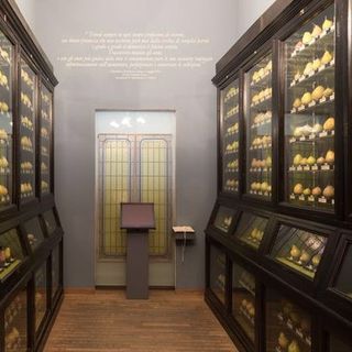 In foto una parte delle riproduzioni realizzate da Francesco Garnier Valletti