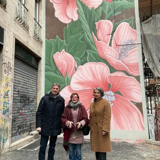murales doa oa