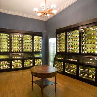 I 10 anni dalla fondazione del Museo di Anatomia Umana “Luigi Rolando” e del Museo della Frutta