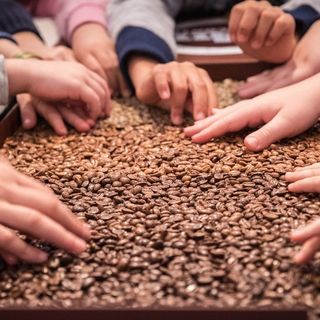 Riciclo orchestrato, laboratorio per famiglie al Museo Lavazza