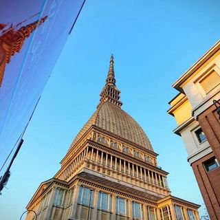 Premio &quot;La città per il verde&quot;: un riconoscimento a Torino