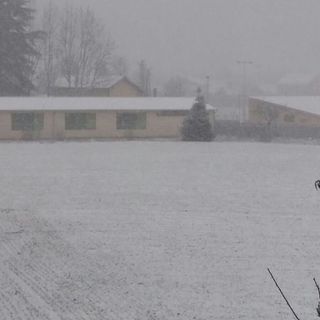Neve, Coldiretti Piemonte: &quot;Boccata d'ossigeno contro la siccità, ma attenzione alla colture per il gelo&quot;