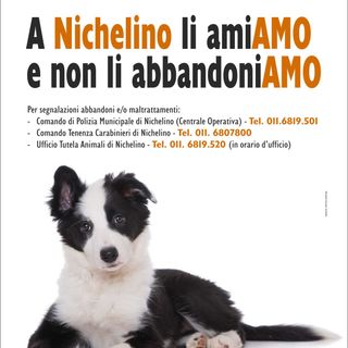 Il Comune di Nichelino scende in campo contro l'abbandono degli animali