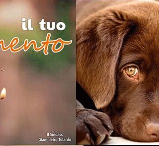 &quot;il tuo divertimento, la loro paura&quot;