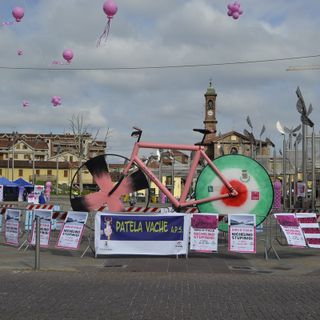 nichelino in rosa
