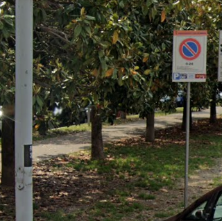 viale alberato Nizza Millefonti