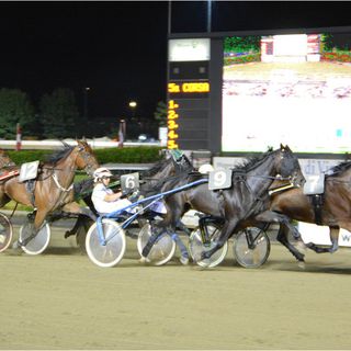 Mercoledì sera ultimo appuntamento di agosto all'ippodromo di Vinovo