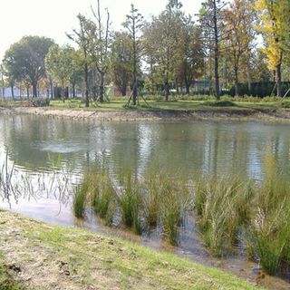 Interventi nell'oasi naturalistica di Piazza d'Armi