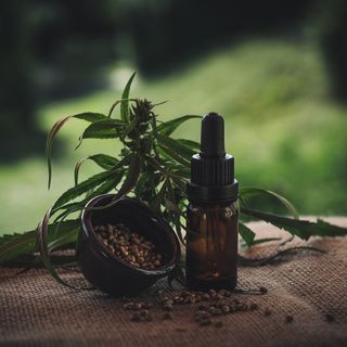 Olio di CBD: come sceglierlo ed utilizzarlo per trarne beneficio