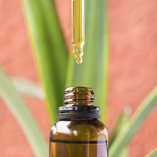 Camomilla, olio di cocco e cannabidiolo: ecco la triade della bellezza naturale