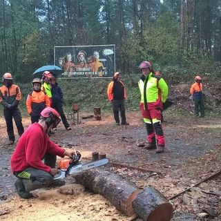 Tre milioni di euro dalla Regione a sostegno degli imprenditori forestali