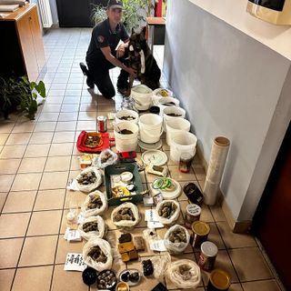 operazione antidroga carabinieri