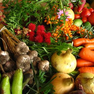 A Bardonecchia giovedì l'incontro &quot;Orti urbani – Come organizzarli?
