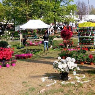 Ortoflora &amp; natura a Carmagnola
