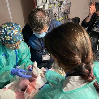 ospedale da campo del piemonte in turchia