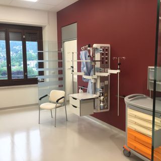 La torinese Elsa Viora prima donna eletta Presidente Associazione Ostetrici Ginecologi Italiani