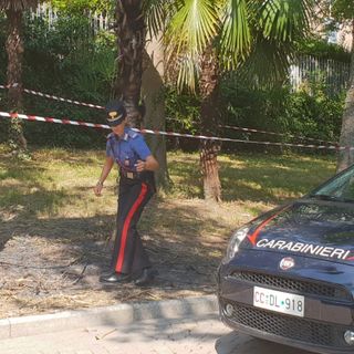 Rivoli, bruciano una palma nel parco e mettono il filmato su Instagram: individuati e denunciati Rivoli, bruciano una palma nel parco e mettono il filmato su Instagram: individuati e denunciati