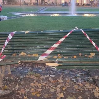 Vandali in città: distrutta una panchina in centro e delle piante in San Salvario