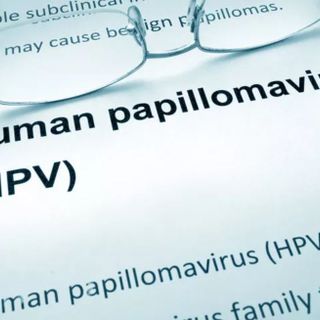 In biblioteca a Pianezza si parlerà di Papilloma Virus: appuntamento mercoledì 30 ottobre alle ore 17:30