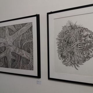 Paratissima 2017: addio Torino Esposizioni, benvenuta caserma “La Marmora”