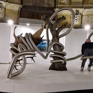 Paratissima Talents, rimandata l'inaugurazione prevista il 5 marzo