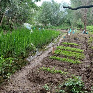 degrado parco arrivore