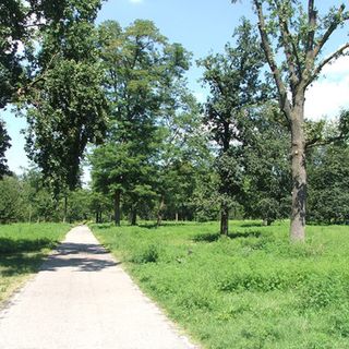A Nichelino il parco del Boschetto a disposizione di enti e associazioni sportive